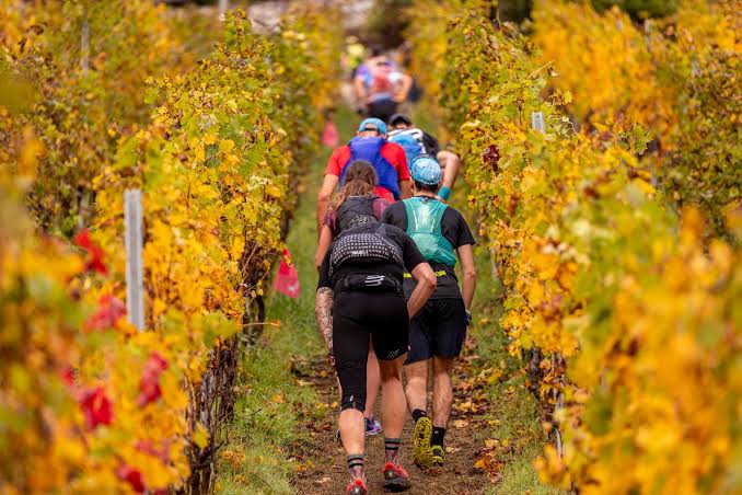 Valle dei Segni Wine Trail