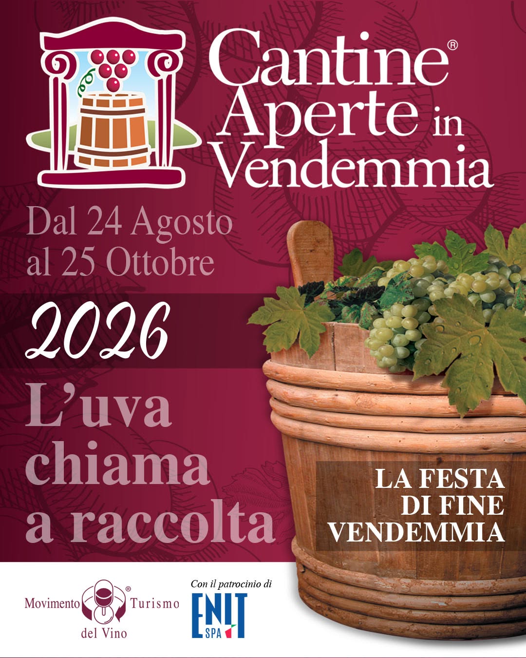 Cantine Aperte in Vendemmia 2026